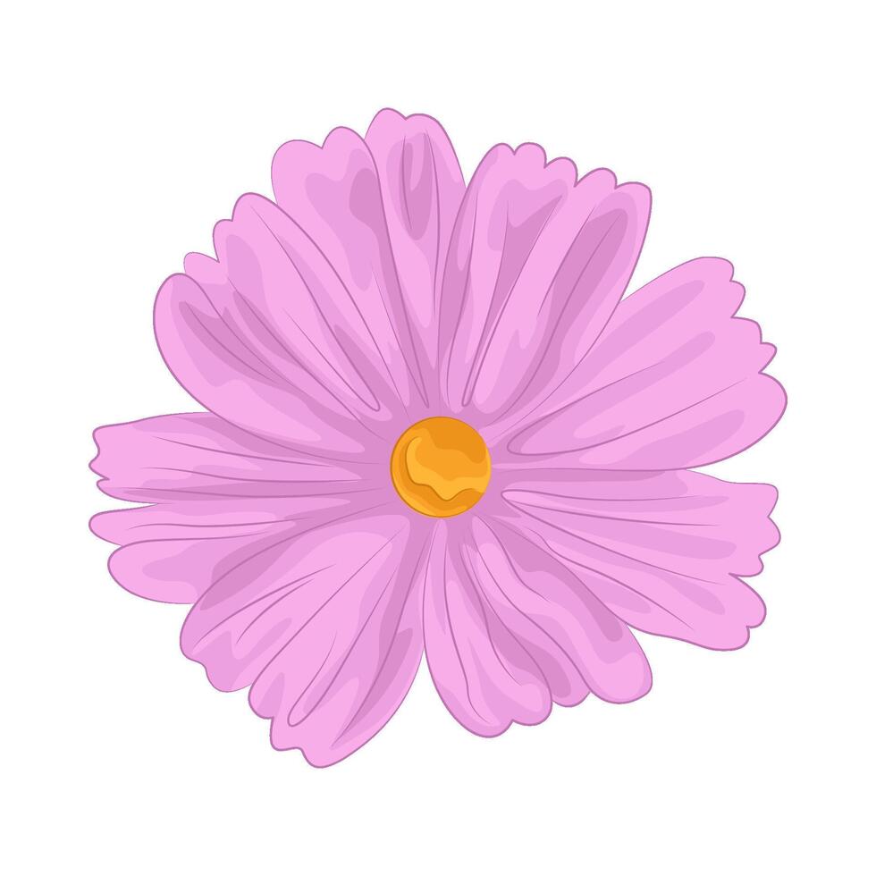 illustration of cosmos flower vector