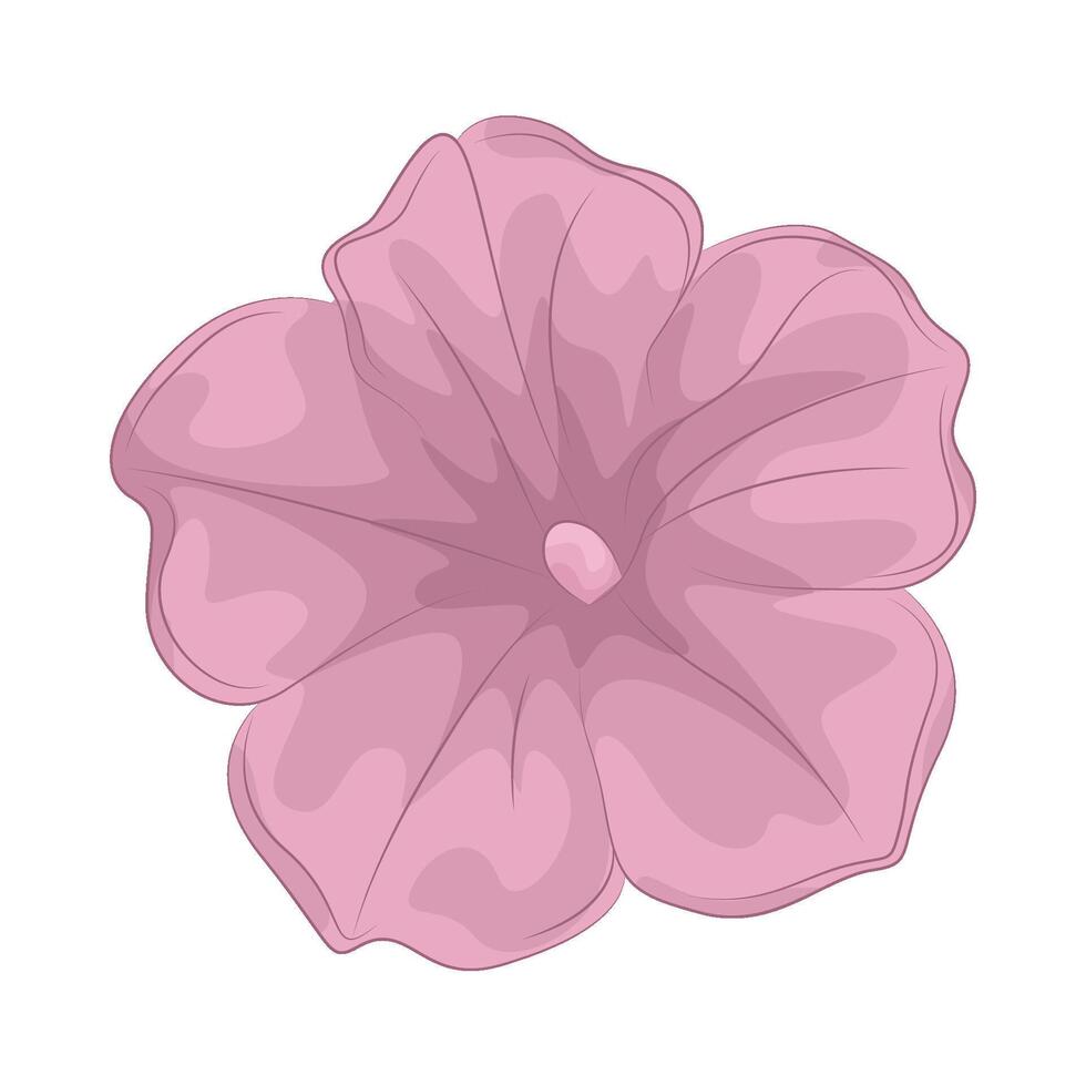 illustration of petunia vector