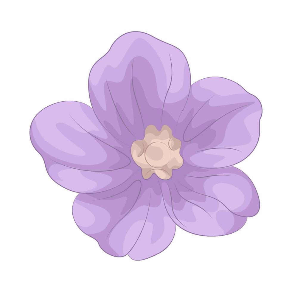 Illustration of hellebore vector