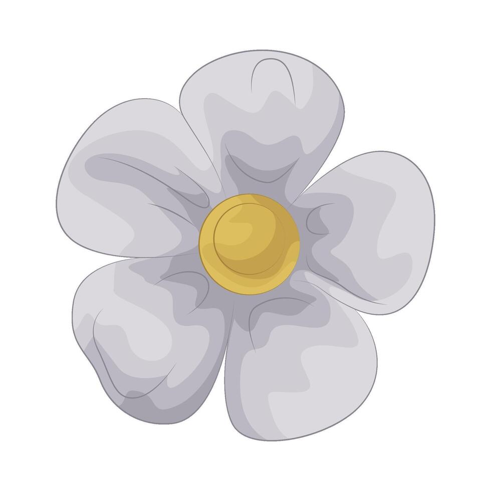 illustration of daffodil vector