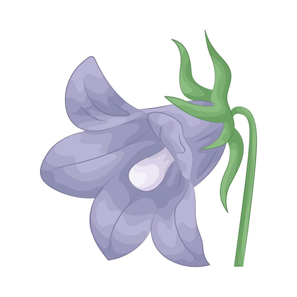 illustration of bluebell vector