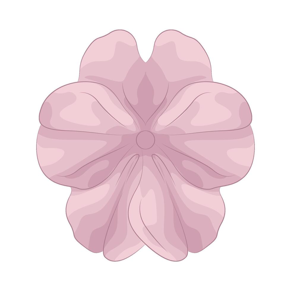 illustration of impatiens vector