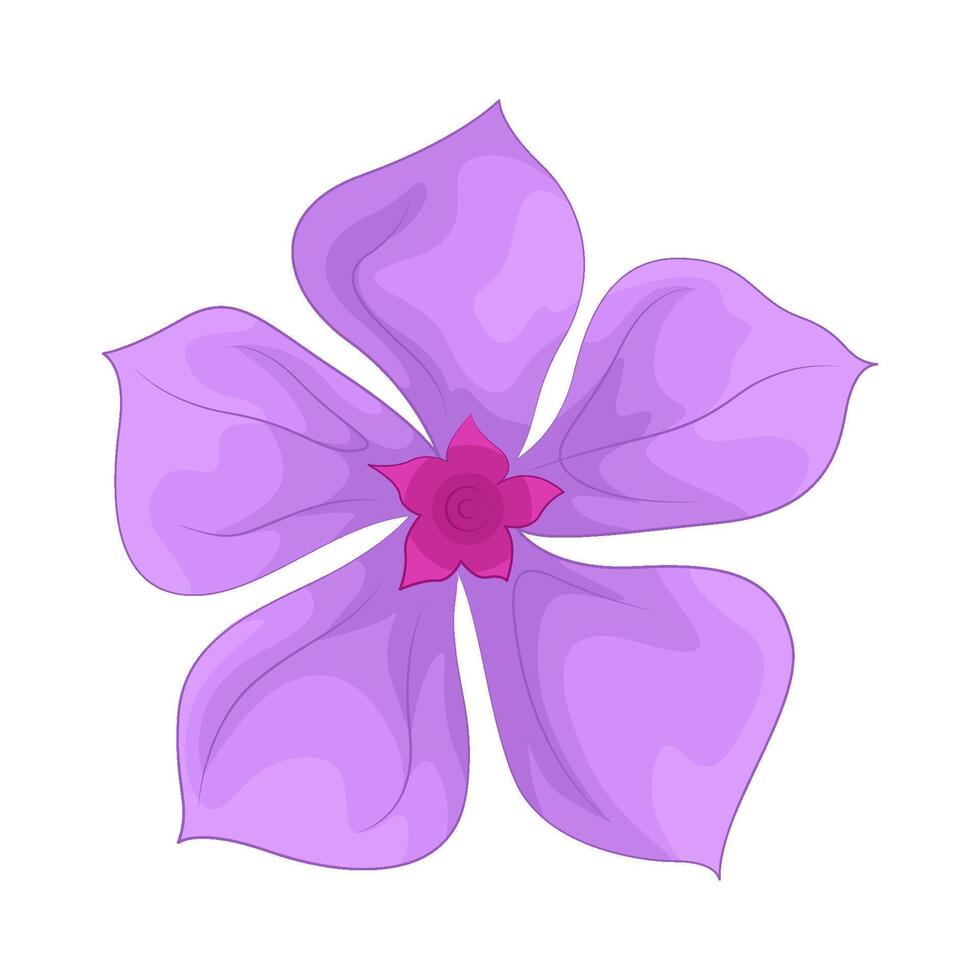 illustration of phlox vector