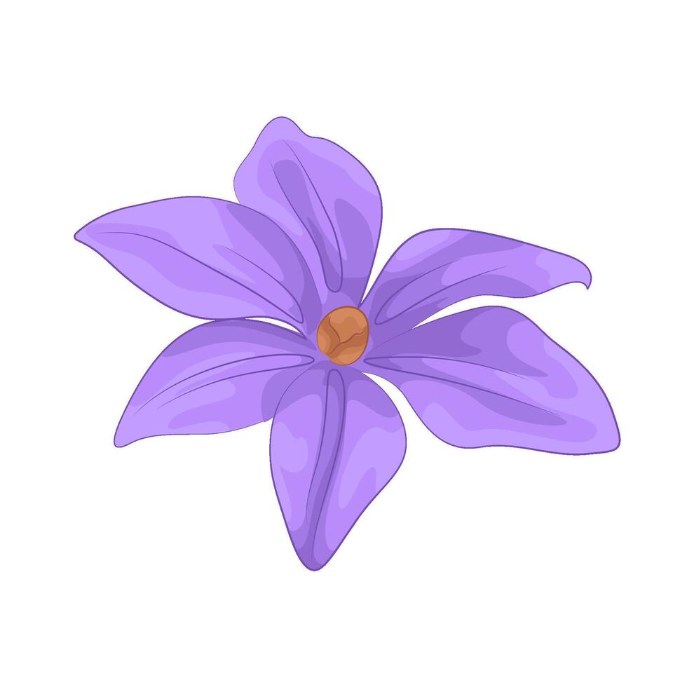 illustration of purple lily vector