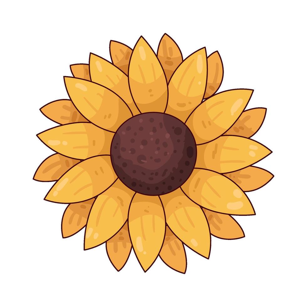 Illustration of sunflower vector
