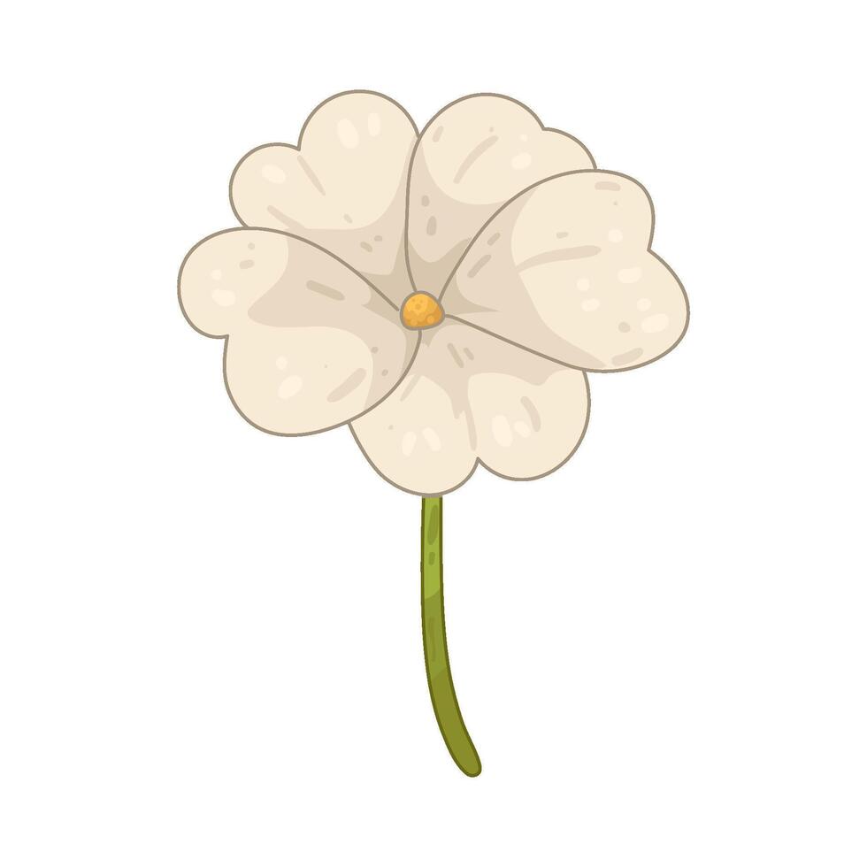 Illustration of white geranium vector