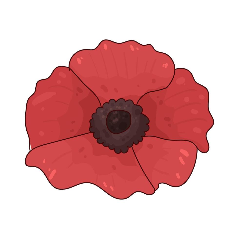 Illustration of red poppy vector