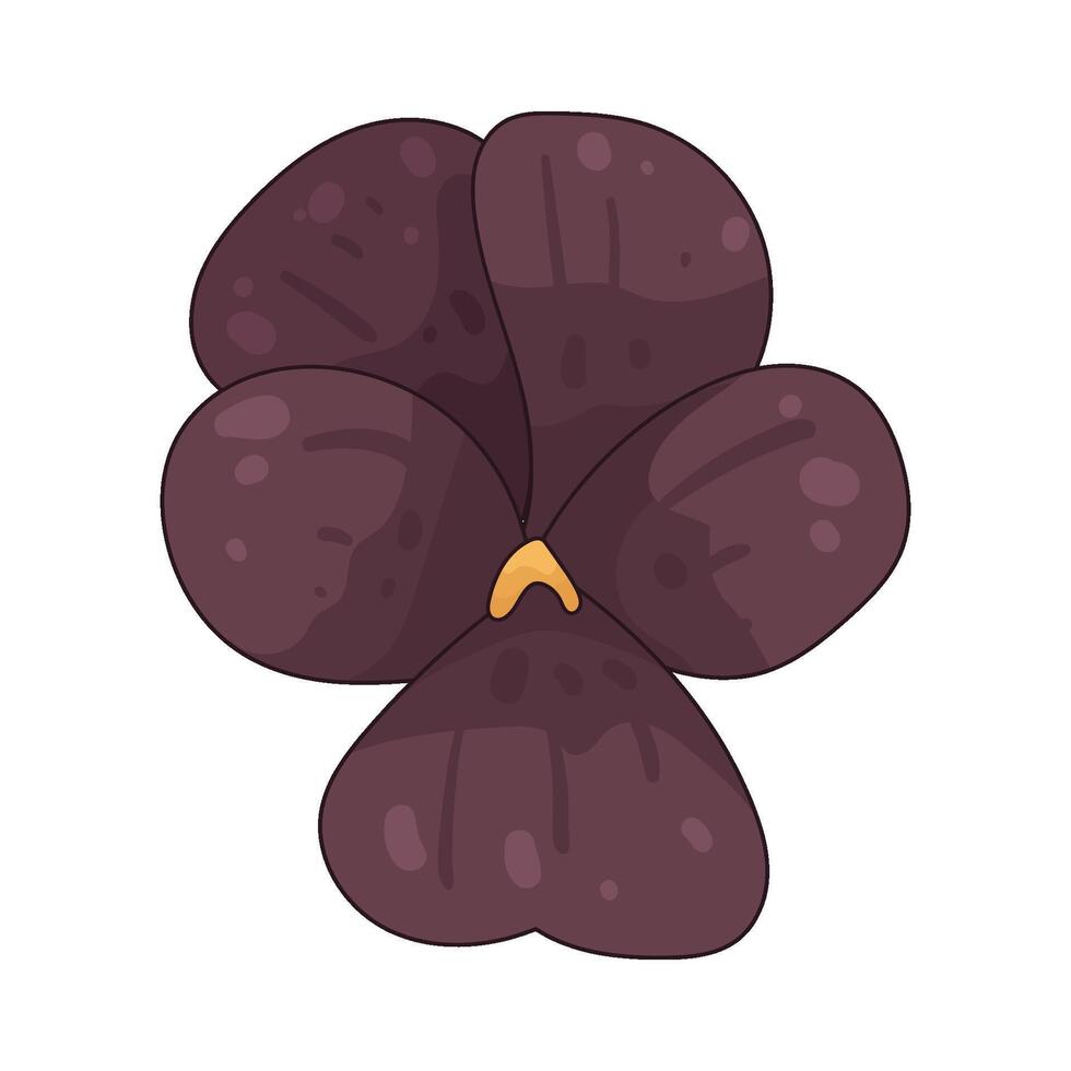 Illustration of pansy vector