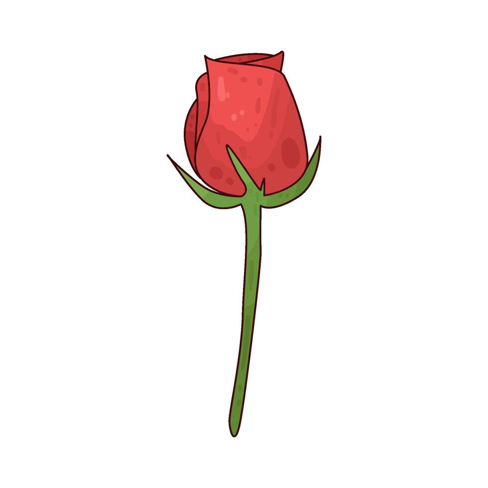 Illustration of rose vector