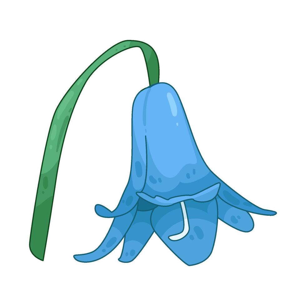 Illustration of bluebell vector