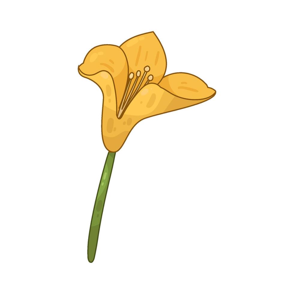 Illustration of yellow freesia vector