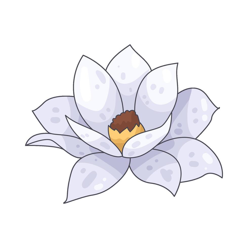 Illustration of white lotus vector