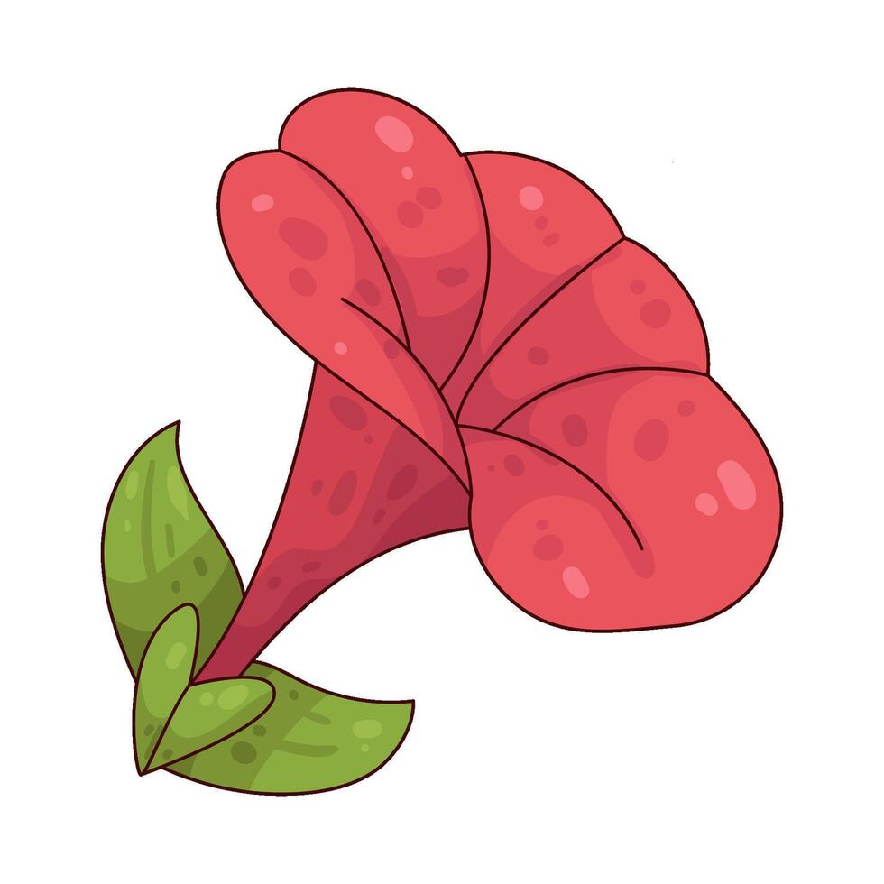 Illustration of mirabilis Jalapa vector