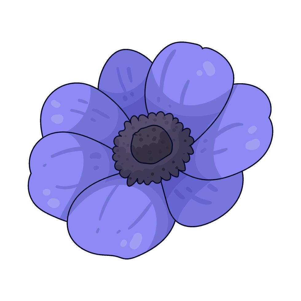 Illustration of purple anemone vector