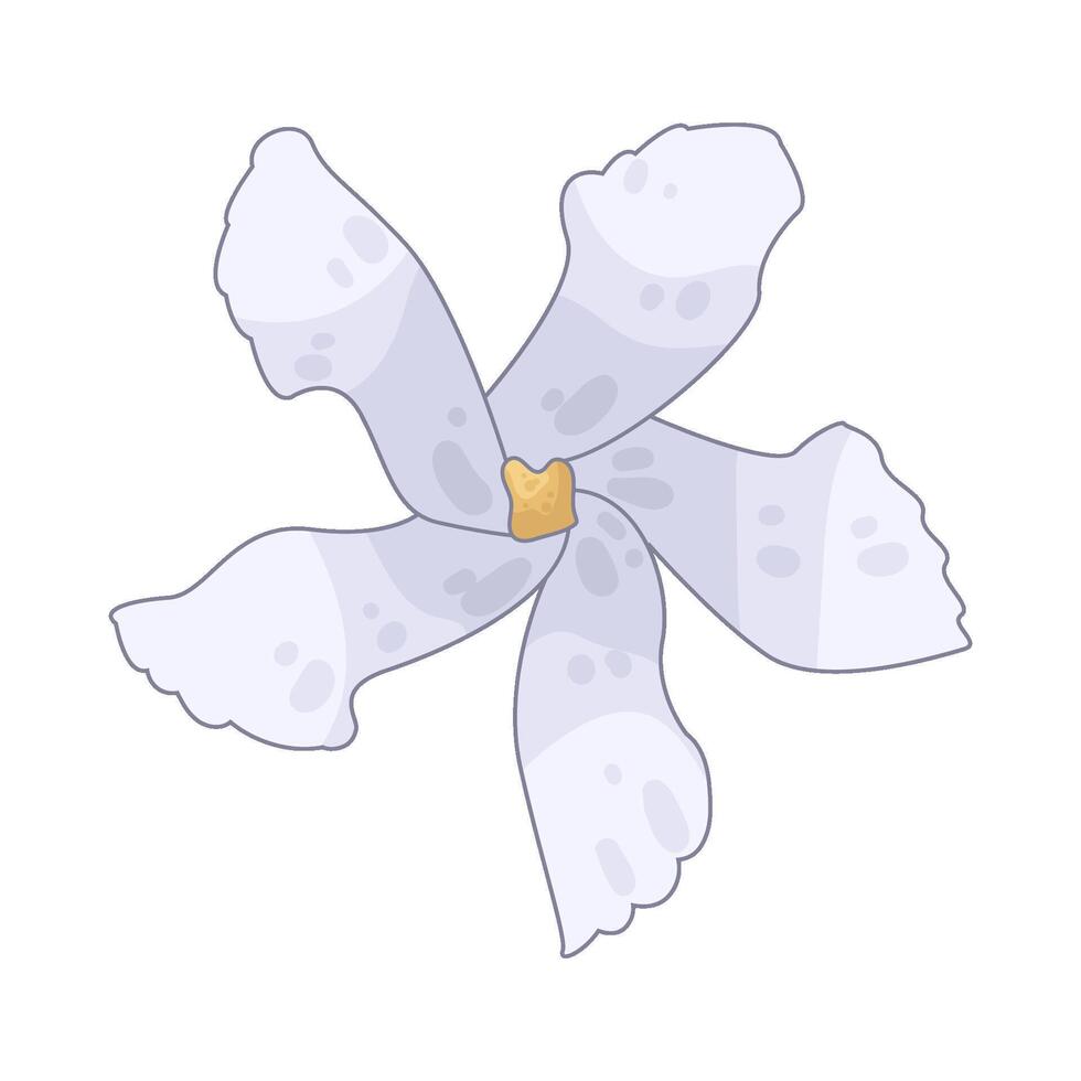 Illustration of sampaguita flower vector