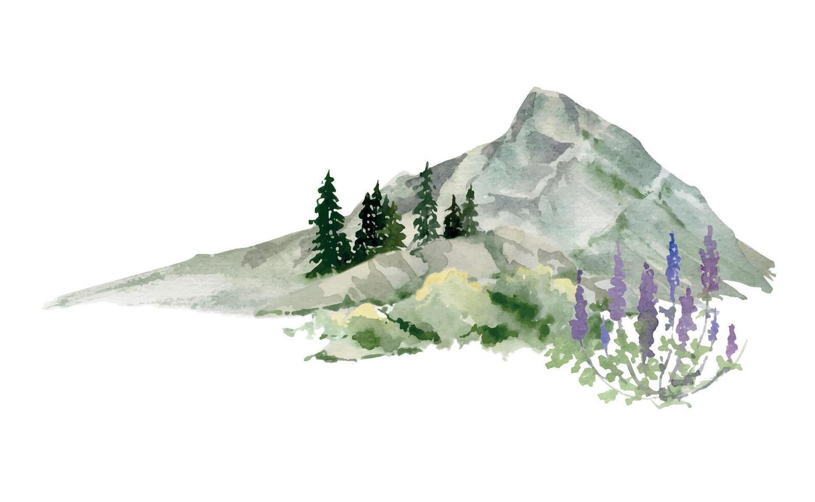 Scenery landscape of mountain range peaks cliffs, coniferous forest pine trees, alpine flowers vista hand drawn in watercolor. Illustration for tourism maps, resort ads, hiking camping sites vacation. vector