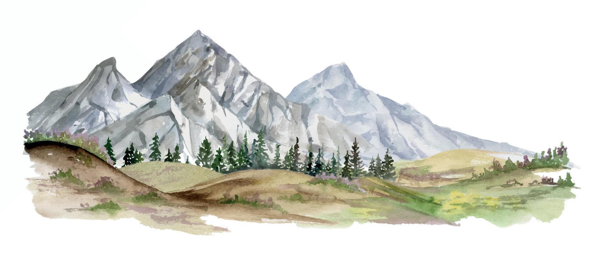 Scenery landscape of mountains, coniferous forest, fields stream river lake pasture land alpine vista hand drawn in watercolor. Illustration for tourism, resort ads, hiking camping sites, vacation. vector
