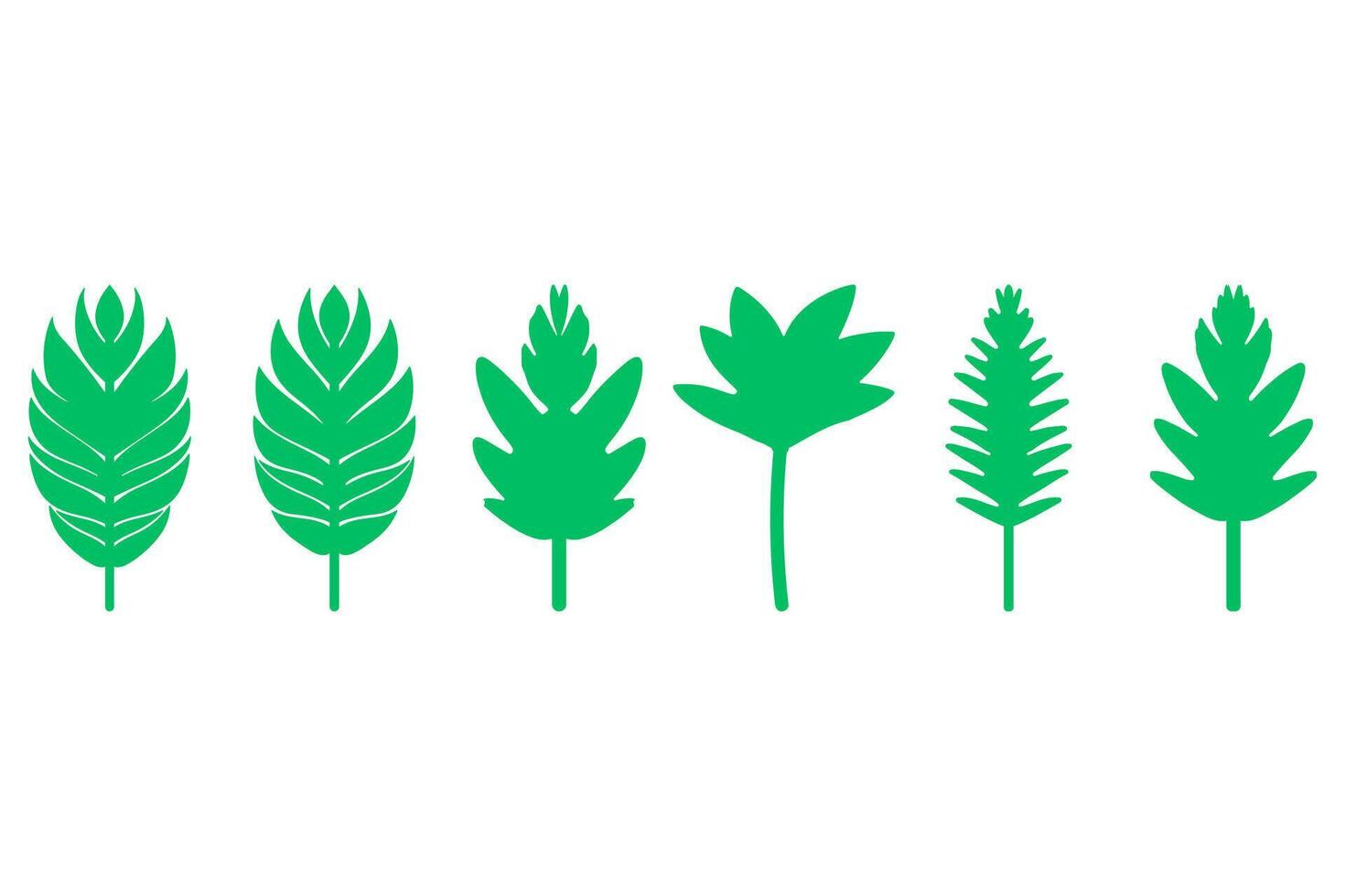 Collection of Green Leaf Illustrations vector