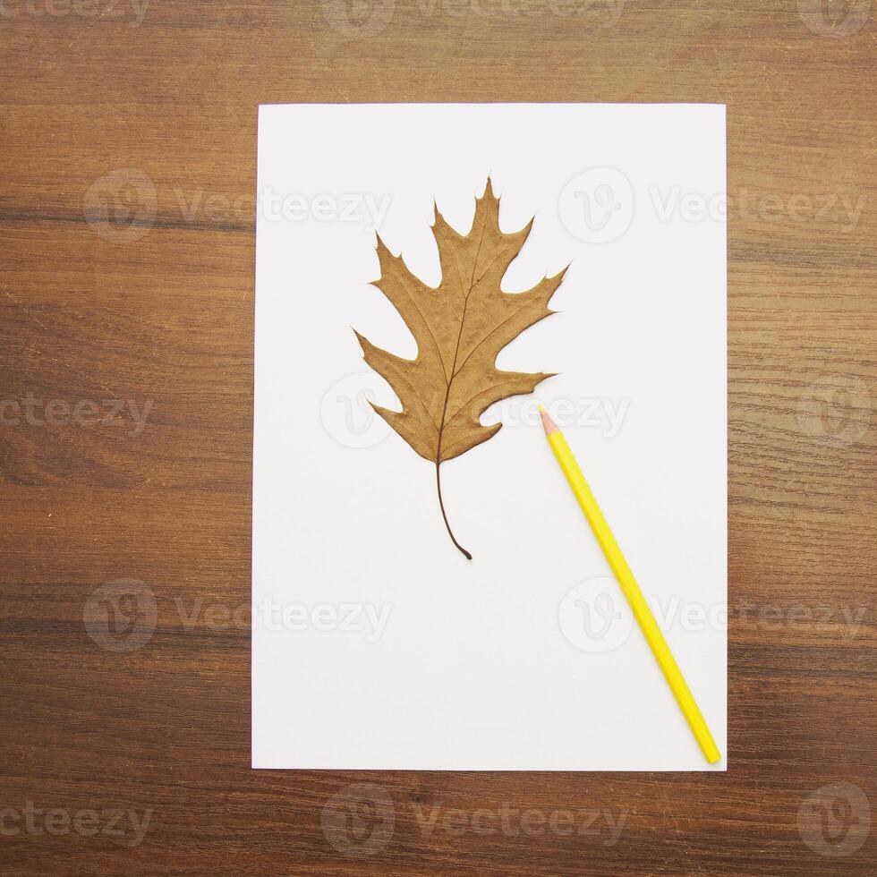 A leaf and a pencil on a wooden table photo