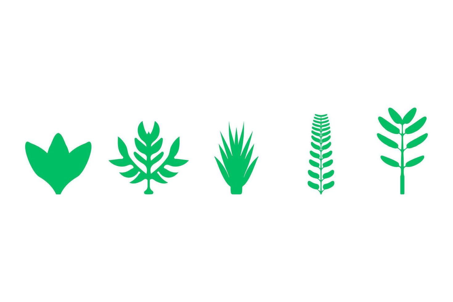 Set of Green Leaf Icons vector