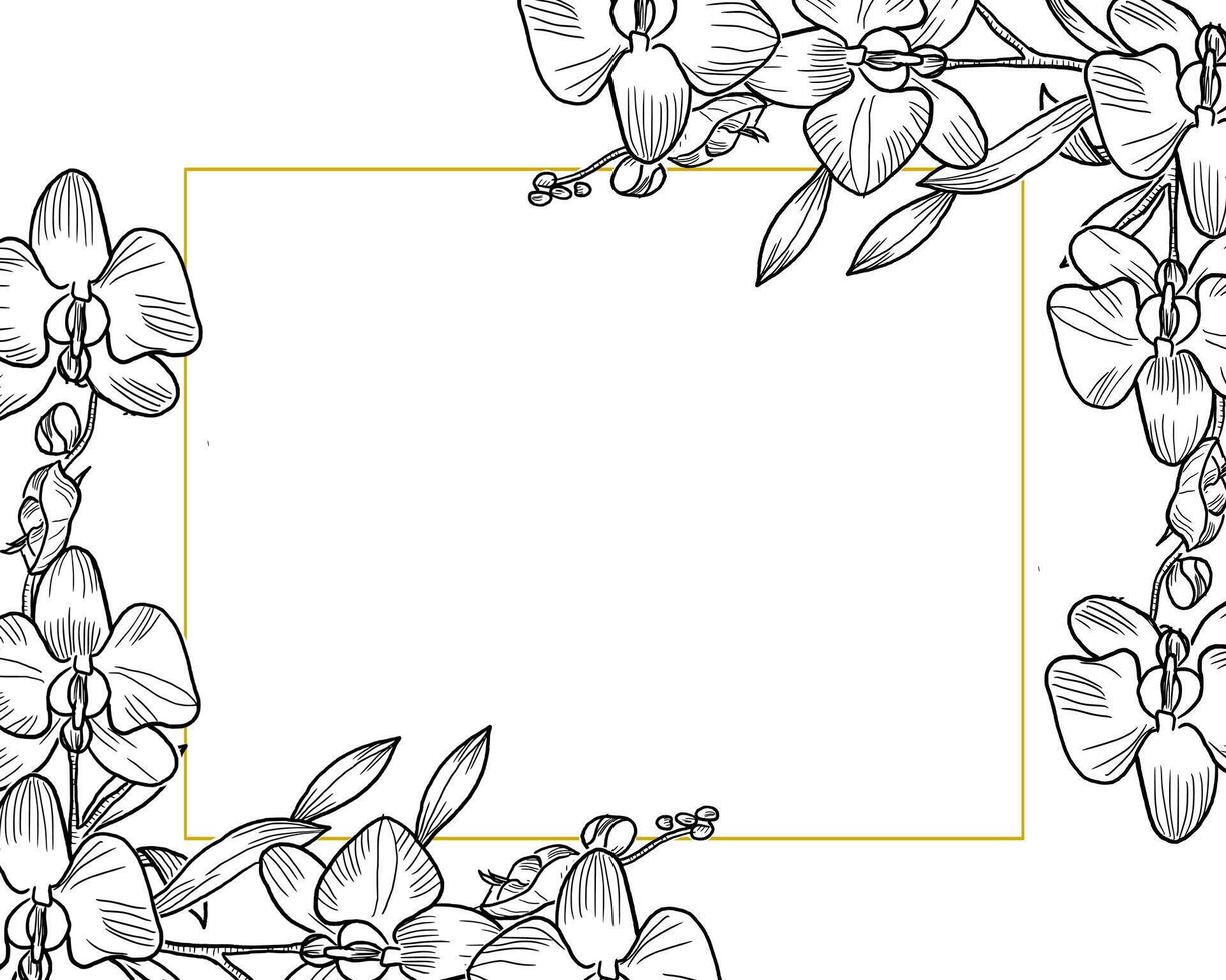 Hand Drawn Orchid Flower and Bud Border vector