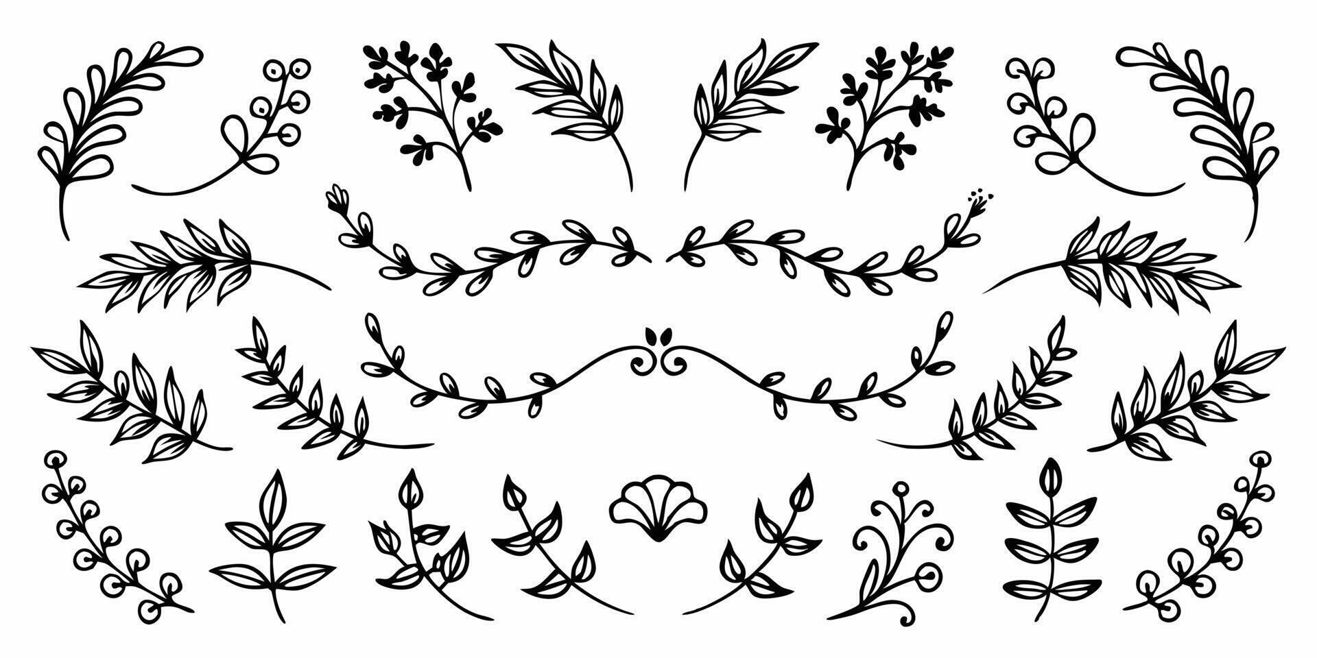 A set of hand drawn floral designs vector