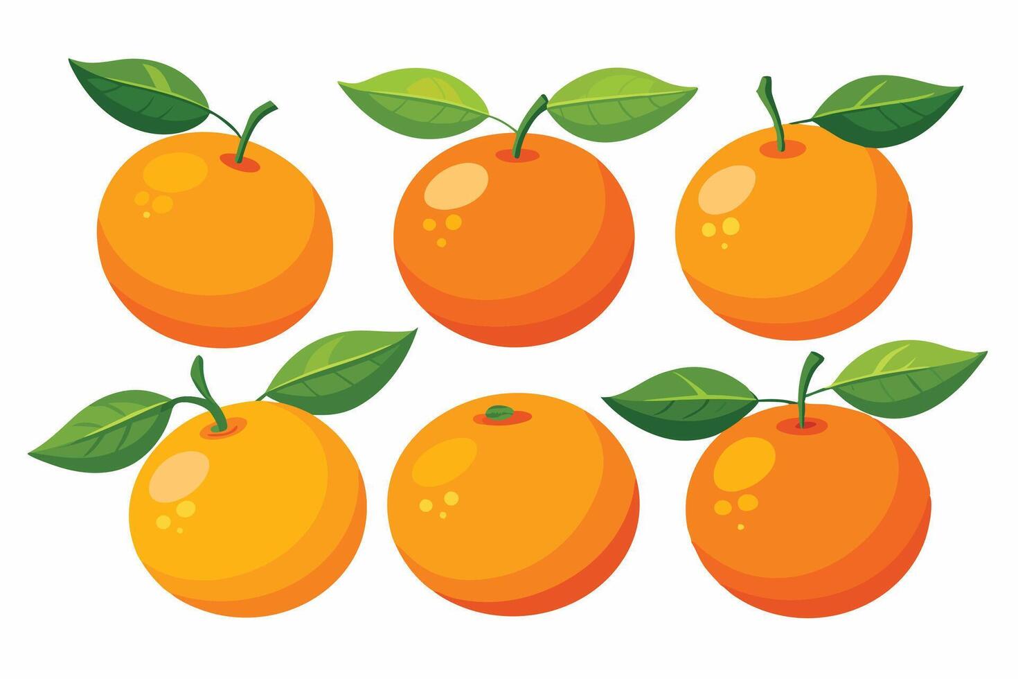 A set of six oranges with leaves vector