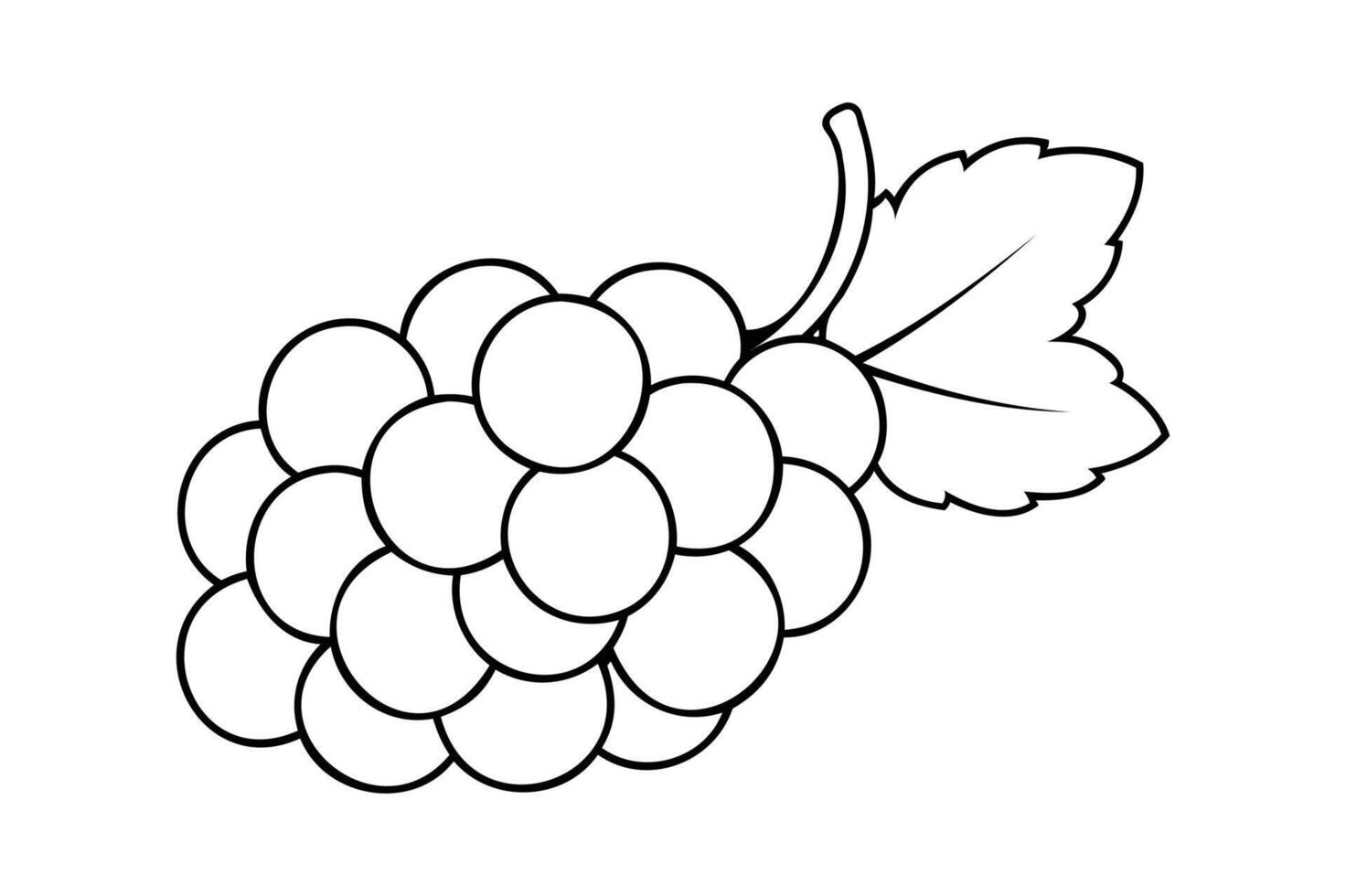 line art of grapes vector