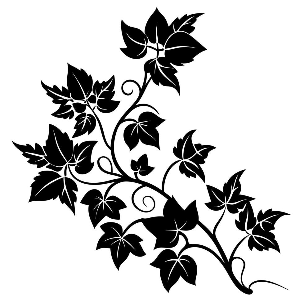 Black and white vine with leaves vector