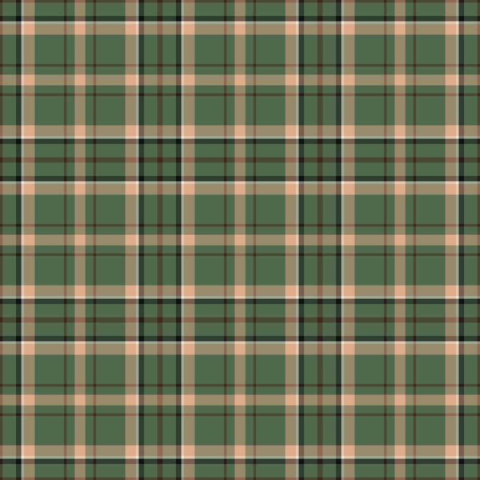 Plaid seamless pattern. background of textile ornament. Flat fabric design. vector