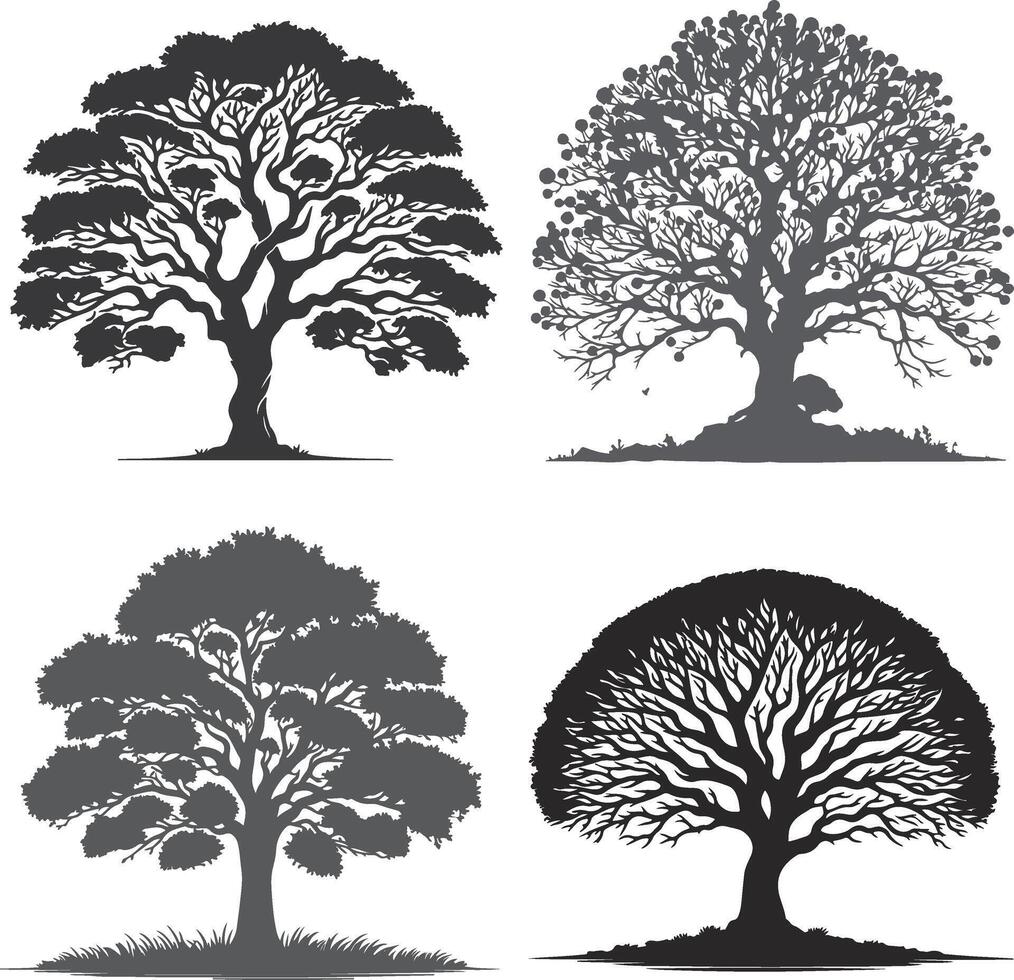 silhouette of tree on white background vector