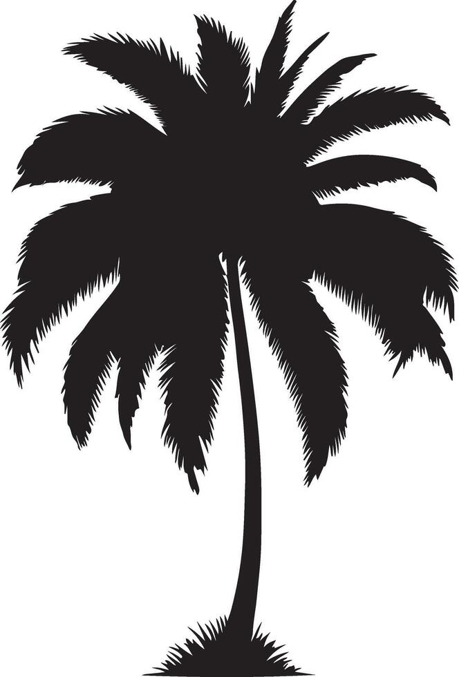 Illustration Set of realistic palm tree vector