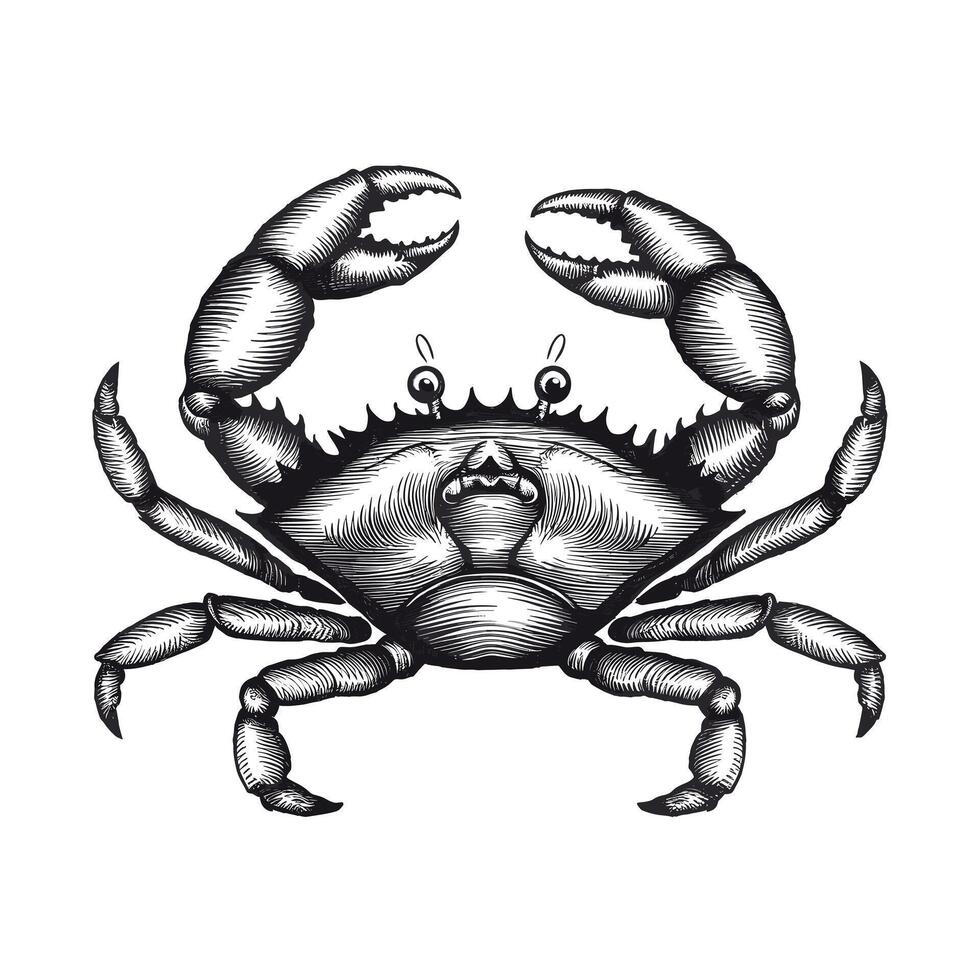 A black and white drawing of a crab vector