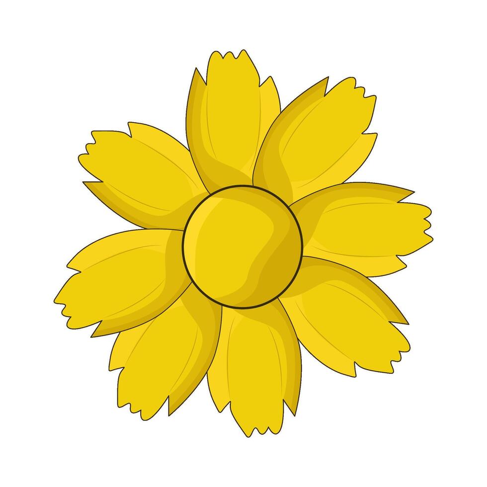 illustration of coreopsis flower vector