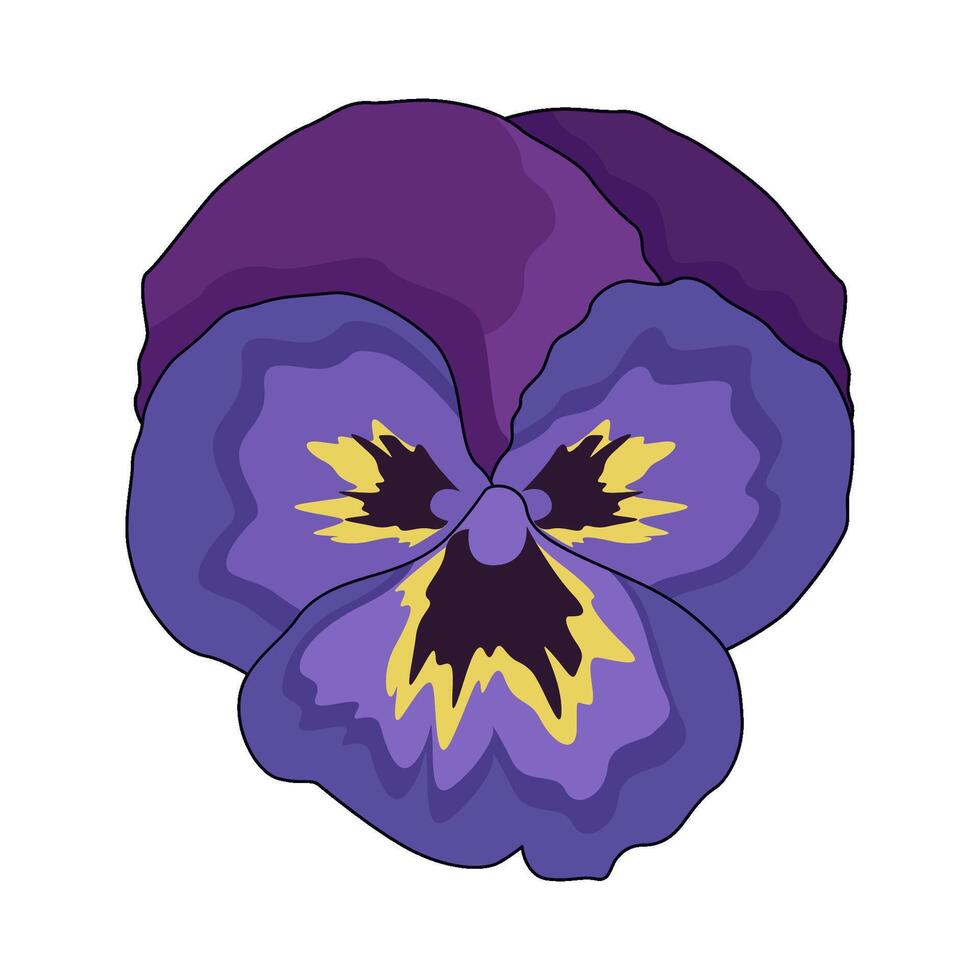 illustration of pansy flower vector