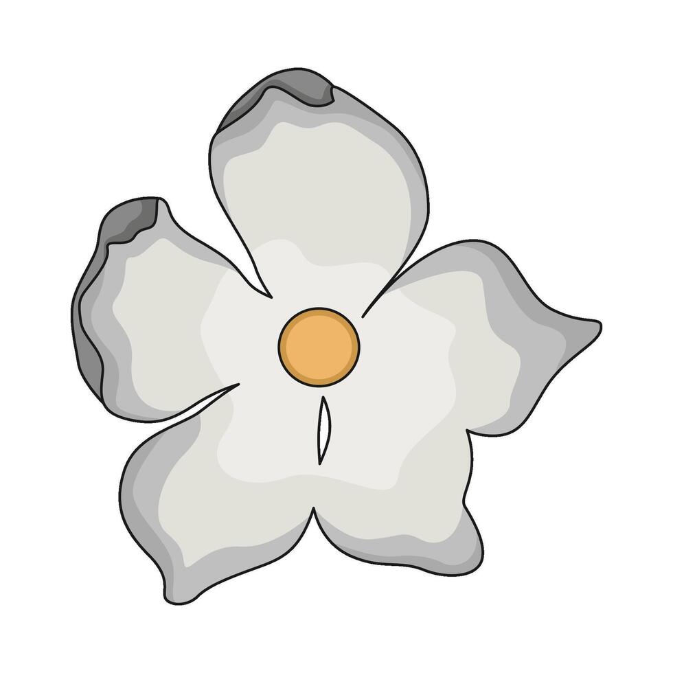 illustration of jasmine vector