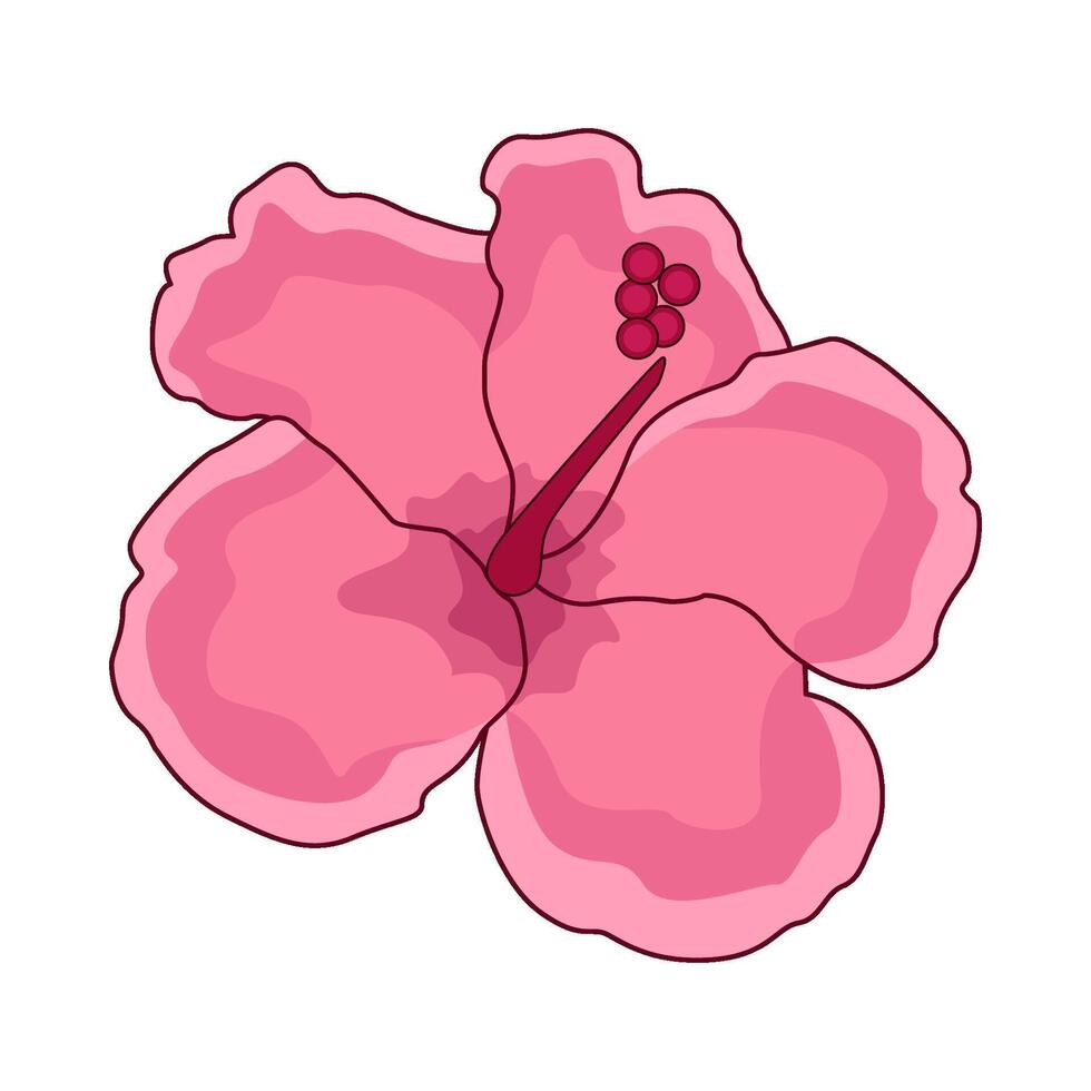 illustration of hibiscus vector