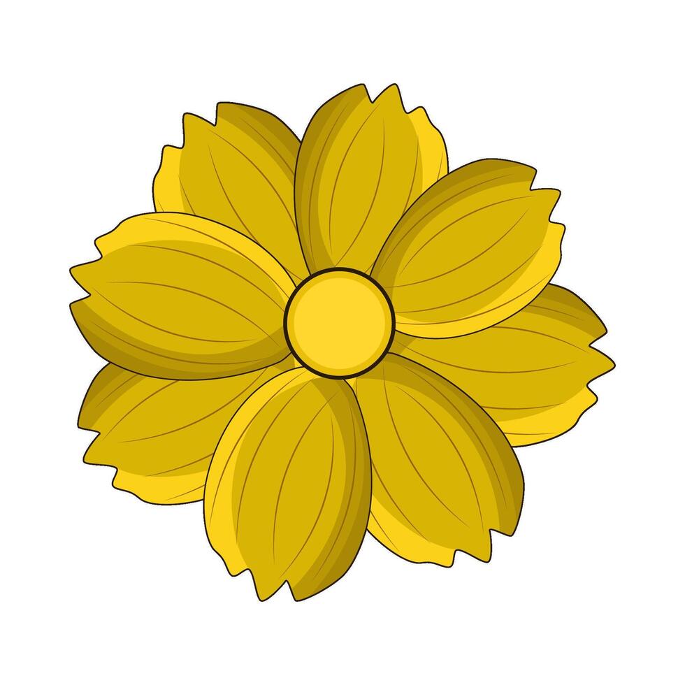 illustration of buttercup vector