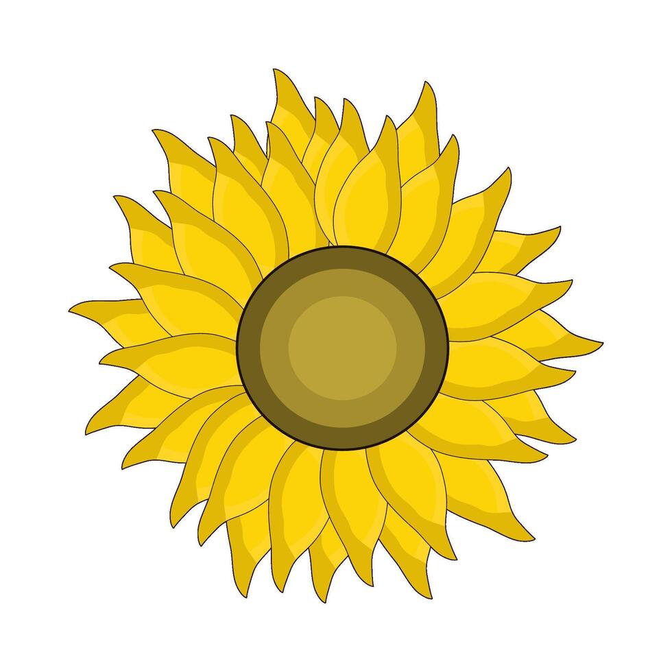 illustration of sunflower vector