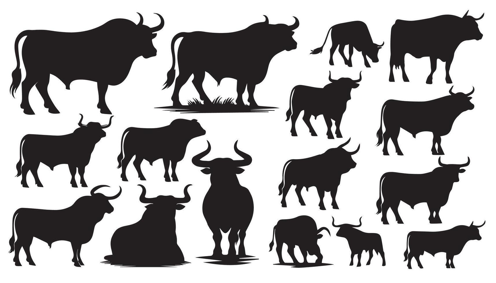 Set of silhouettes of different bull poses. Farm animal vector