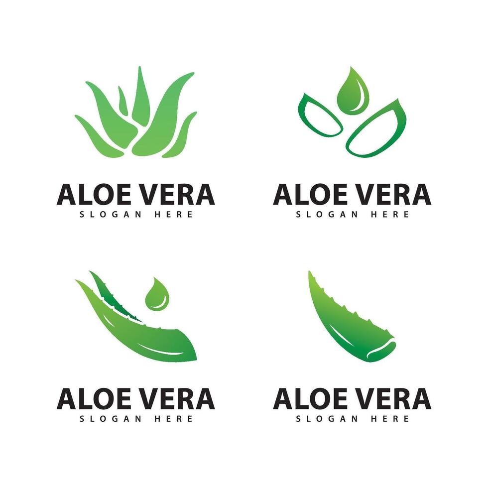 Aloe Vera Logo Design Template vector