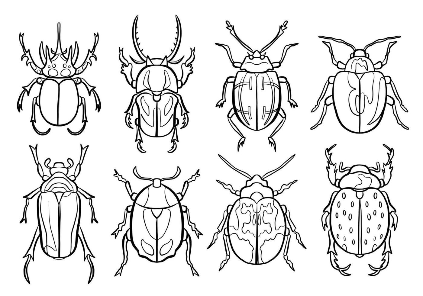 Black Doodle Tropical Bug Icon Collection Isolated on White Background. Insect Illustration vector