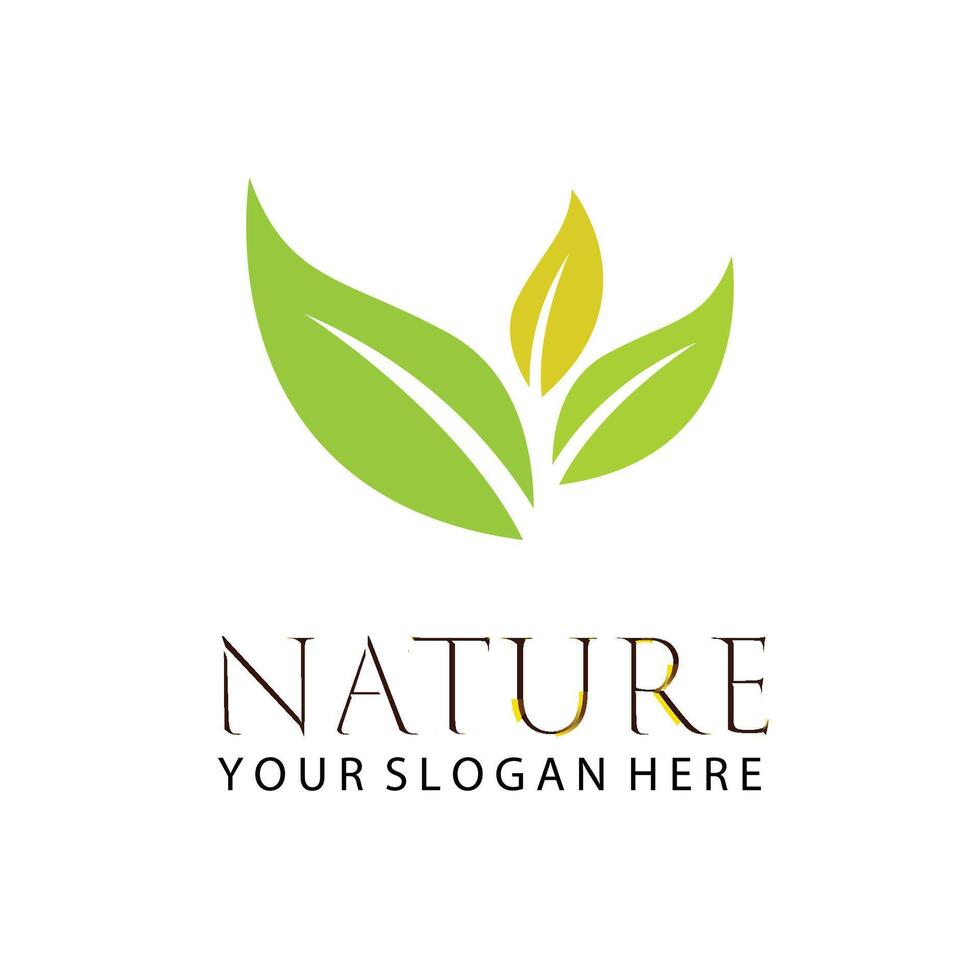 Natural Leaves Logo template design in white background isolated vector