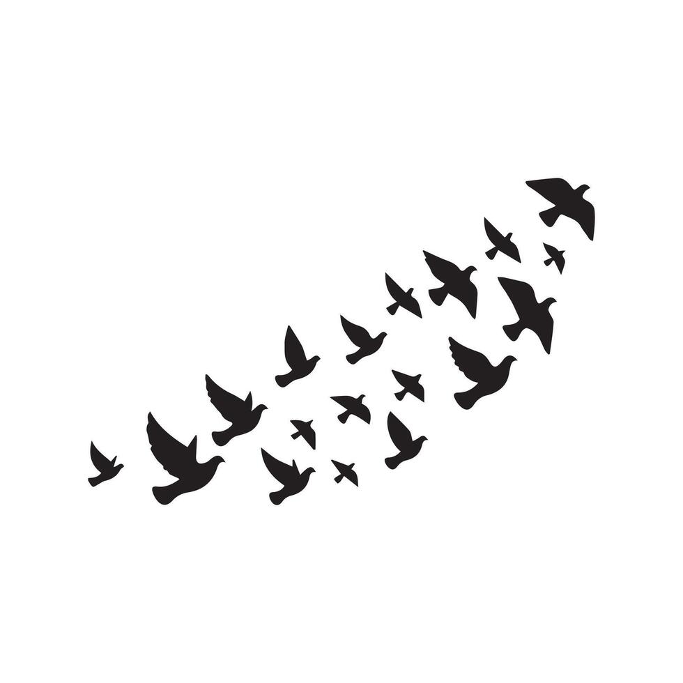 a flock of birds flying in the air vector