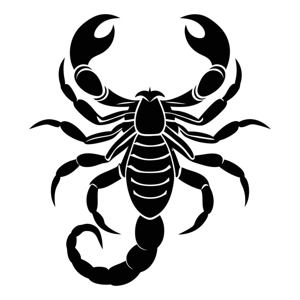 scorpion tattoo design illustration vector