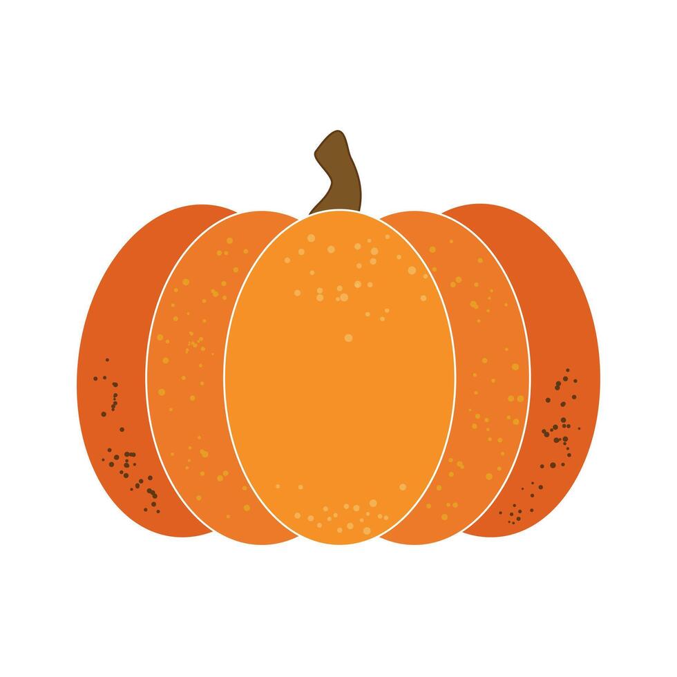Ripe pumpkin isolated on white background. vector