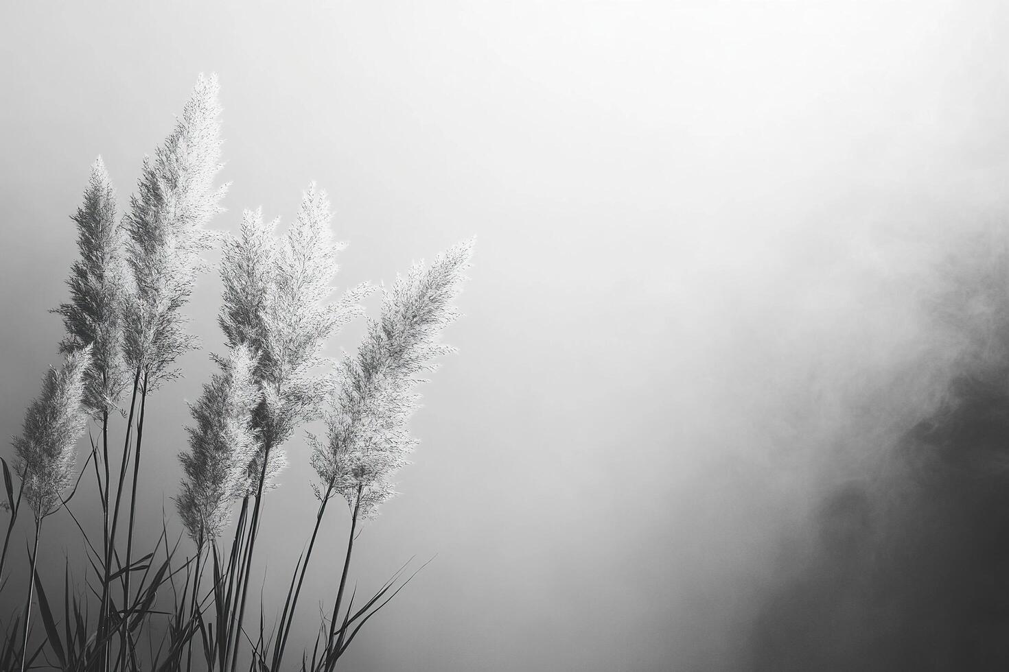 Black and white image of dry branches in fog. Natural background. Generated by artificial intelligence photo