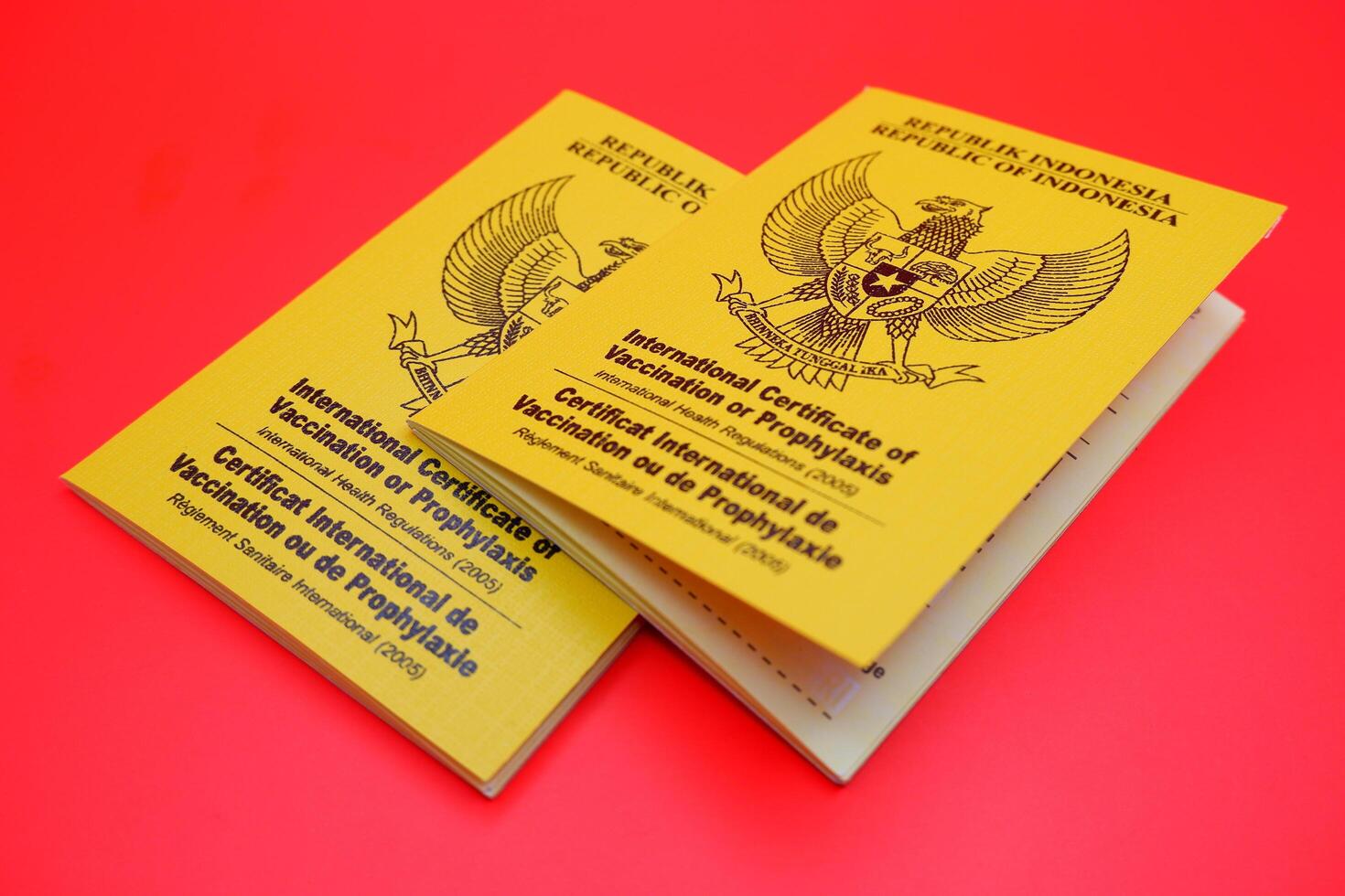 international certificate of vaccination or prophylaxis isolated on red background. yellow book as a sign of vaccination. 2 yellow books of vaccines from Indonesia photo