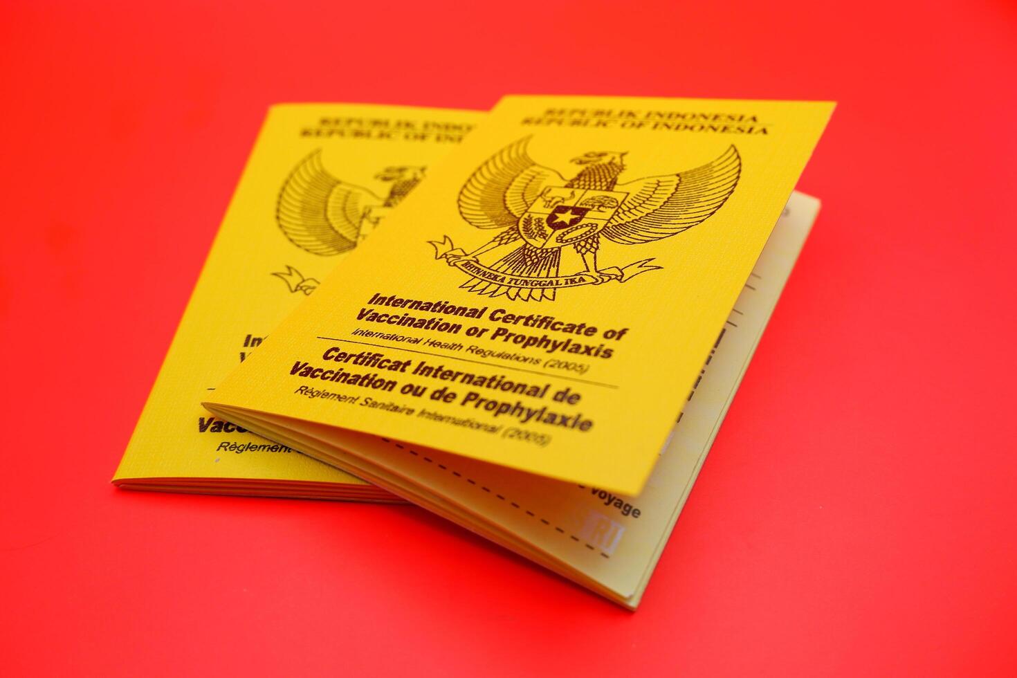 international certificate of vaccination or prophylaxis isolated on red background. yellow book as a sign of vaccination. 2 yellow books of vaccines from Indonesia photo
