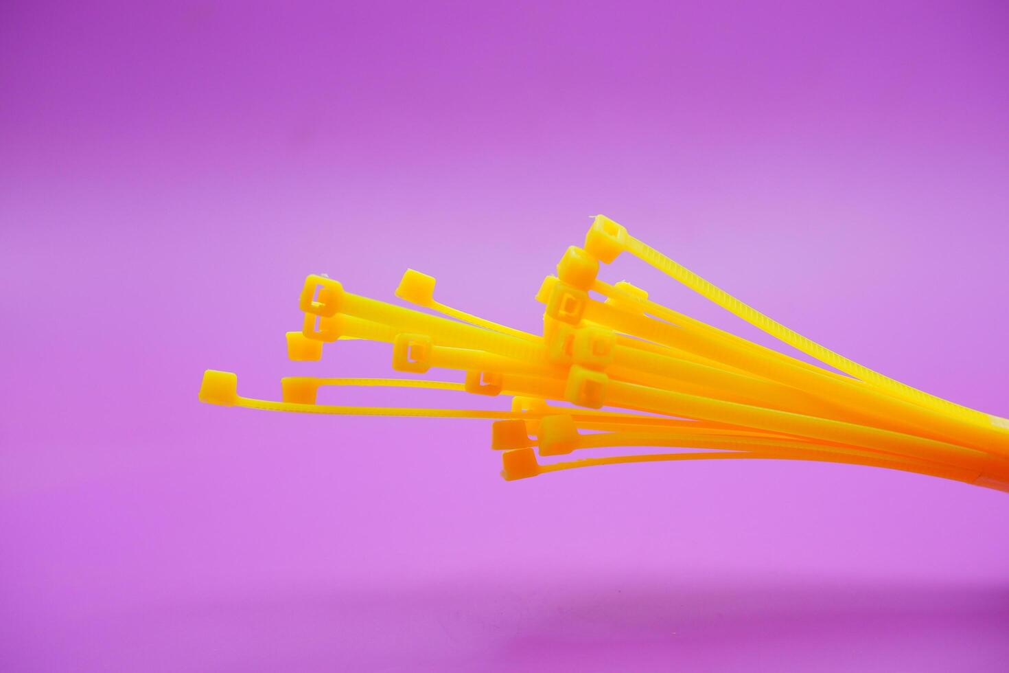 bundle of yellow zip ties isolated on purple background. Cable ties or cable ties, straps that can be used for various purposes. photo